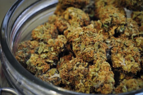 Order Agent Orange (AA) Online Canada - Image 127