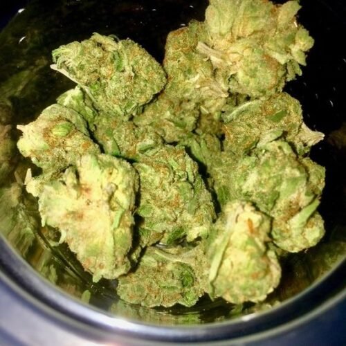 Khalifa Kush (Hybrid) - Image 230