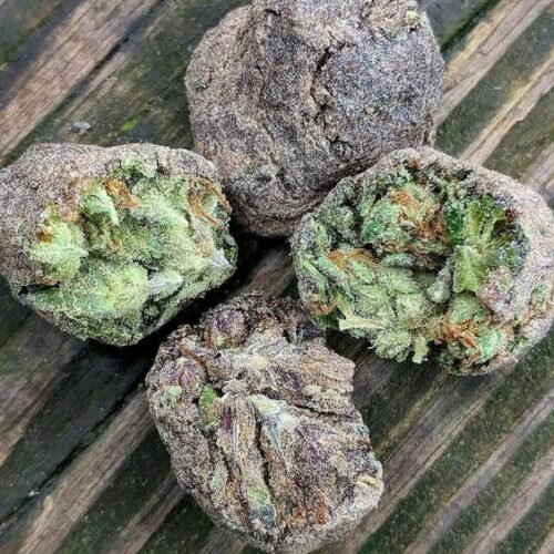 Khalifa Kush (Hybrid) - Image 194