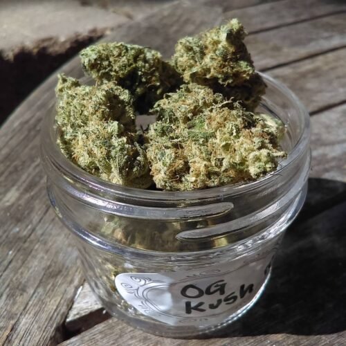 Order Agent Orange (AA) Online Canada - Image 158