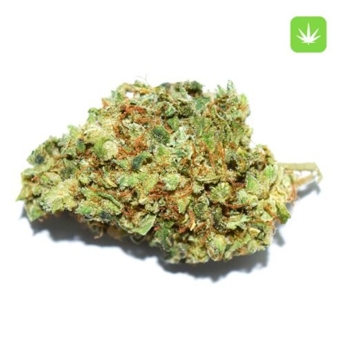 Buy Amnesia Haze (Hybrid) Online Canada