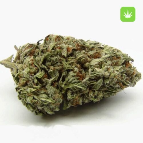 Buy Blackberry Kush (Hybrid) Online Canada