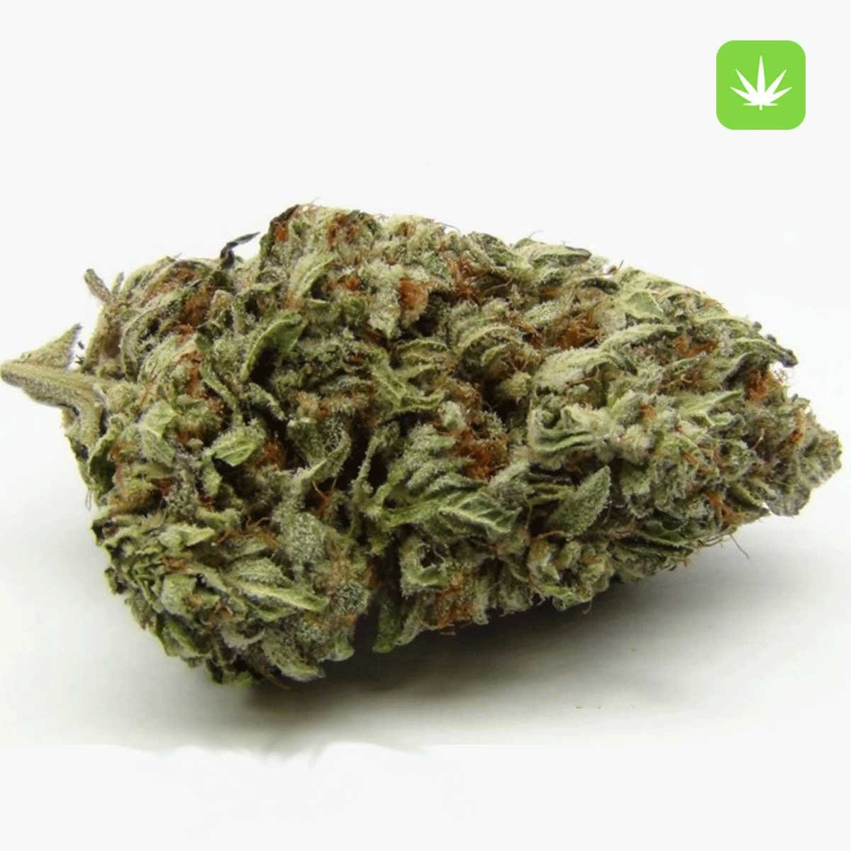 Buy Blackberry Kush (Hybrid) Online Canada