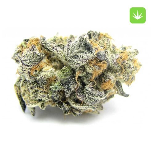 Buy Blue Cookies (Hybrid) Online Canada