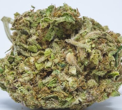 Order Agent Orange (AA) Online Canada