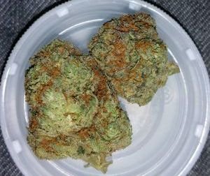 Buy Alaskan Thunder Fuck Online Canada