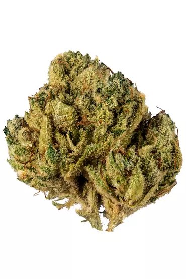 Buy Alien Cookies Strain Online Canada