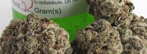 Order Agent Orange (AA) Online Canada - Image 108