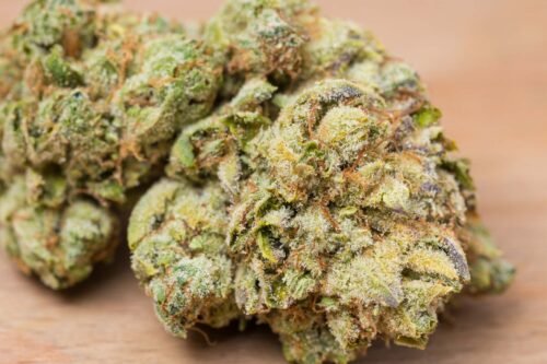 Order Agent Orange (AA) Online Canada - Image 109