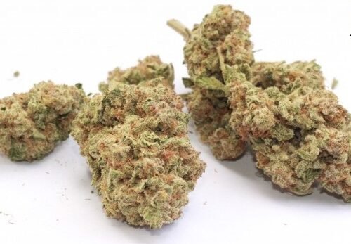 Order Berry White Strain Online Canada