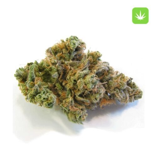 Buy Blue Dream (Hybrid) Online Canada