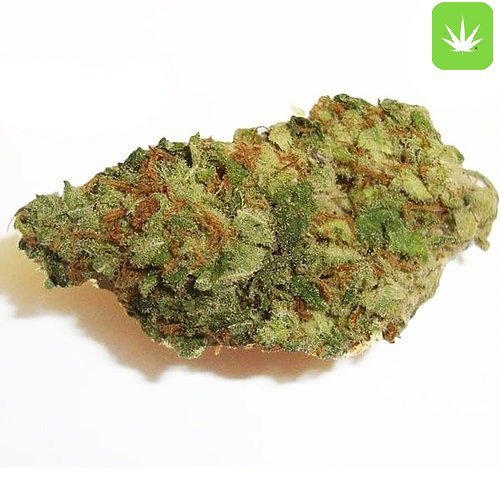 Buy Blueberry Strain (Hybrid) Online Canada