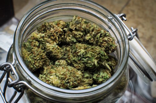 Order Agent Orange (AA) Online Canada - Image 99