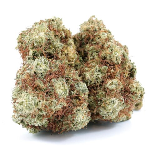 Buy Harlequin High CBD Strain Online Canada - Image 3
