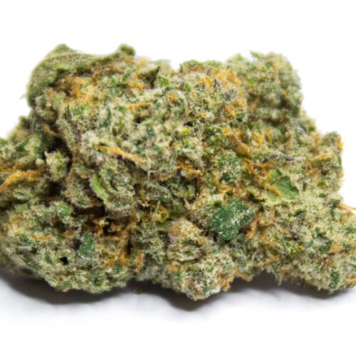 Buy Gelato (Hybrid) Online Canada