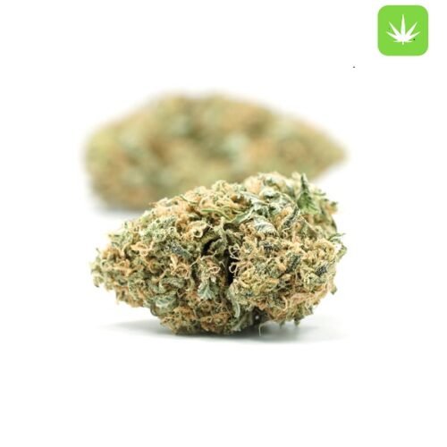 Order Durban Poison (Sativa) Online Canada - Image 2