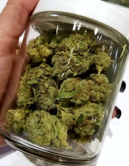 Order Agent Orange (AA) Online Canada - Image 90