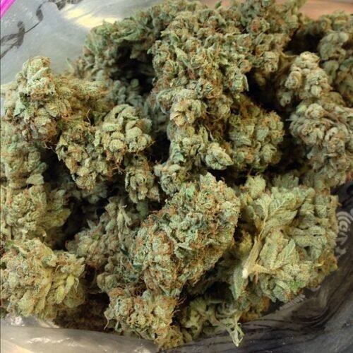 Khalifa Kush (Hybrid) - Image 289