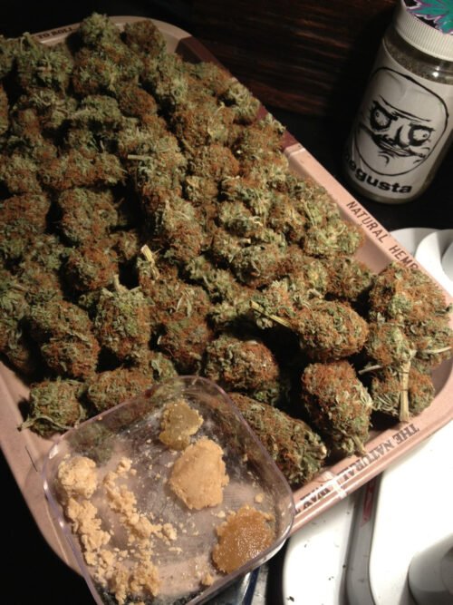Order Agent Orange (AA) Online Canada - Image 82