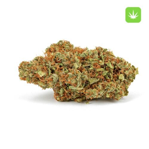 Order God’s Gift Hybrid Online Canada