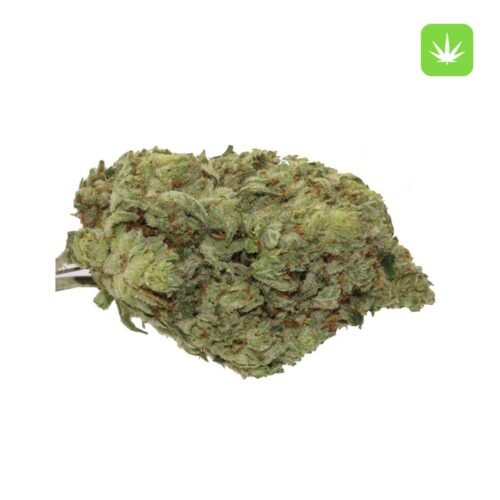 Buy Gorilla Glue #4 (Hybrid) Online Canada