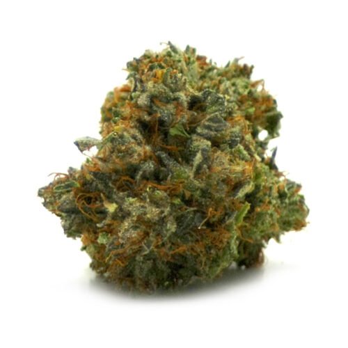 Buy Grand Daddy Purple (Indica) Online Canada