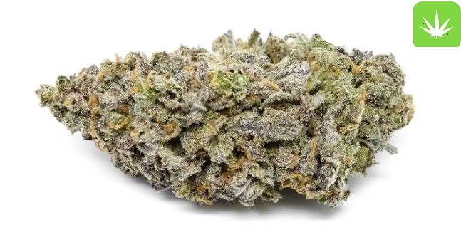Buy Grape Ape Marijuana Strain Online Canada
