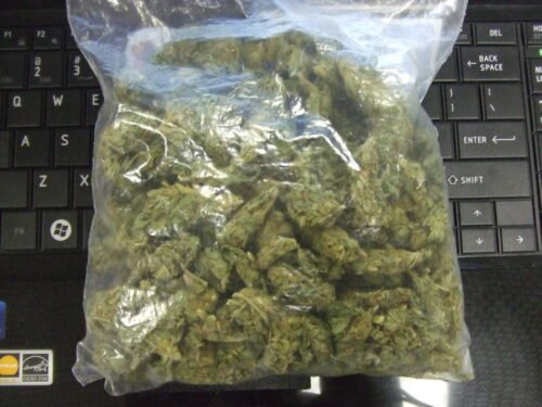 Order Agent Orange (AA) Online Canada - Image 80