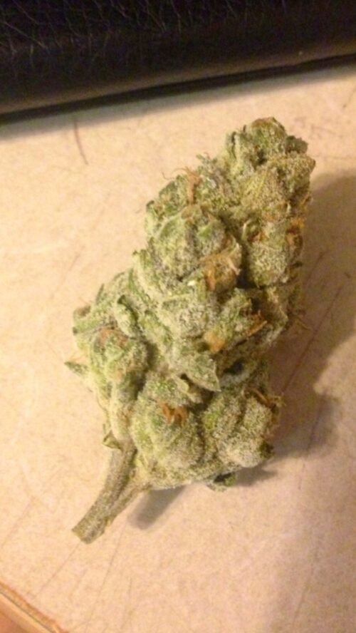 Order Agent Orange (AA) Online Canada - Image 79