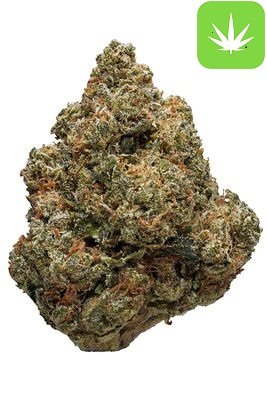 Buy Headband Strain (Hybrid) Online Canada