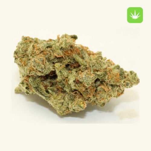 Buy Ice Cream (Hybrid) Online Canada