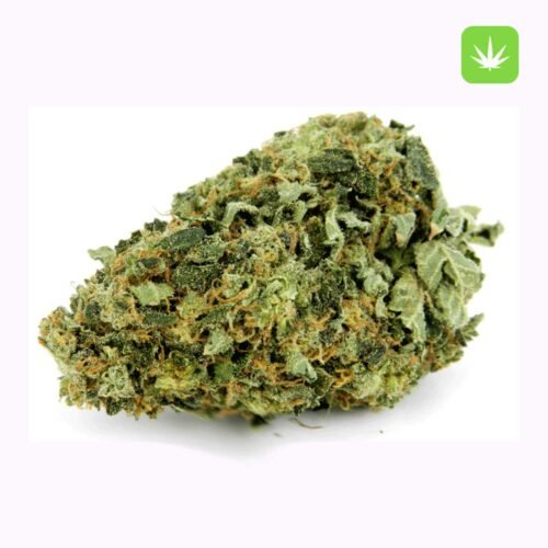Buy Hindu Kush (Indica) Online Canada