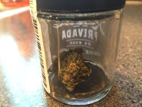 Order Agent Orange (AA) Online Canada - Image 63