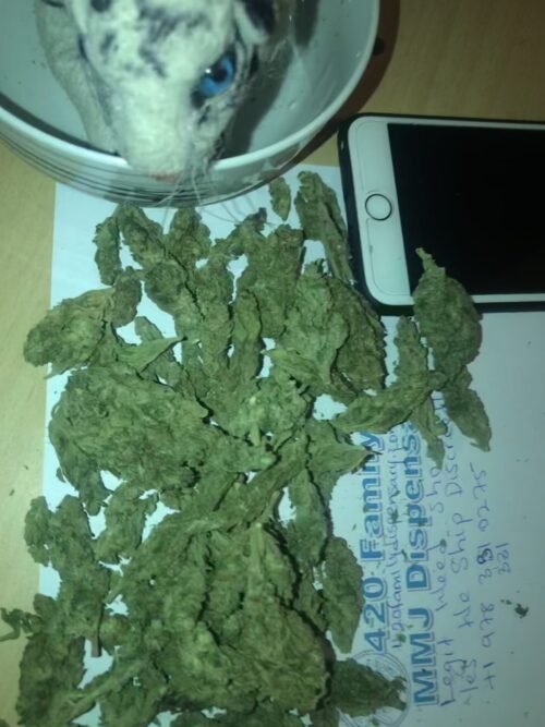 Buy Sour OG Online Canada - Image 84