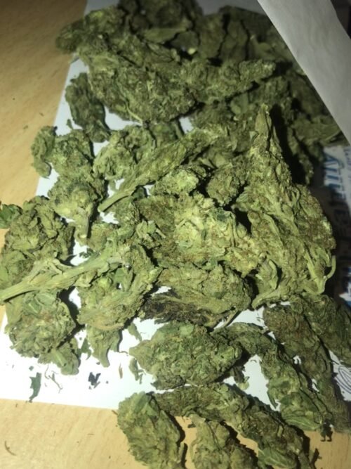 Buy Sour OG Online Canada - Image 90