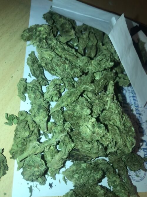 Buy Sour OG Online Canada - Image 91