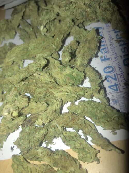 Buy Sour OG Online Canada - Image 125