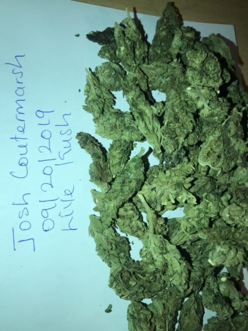 Buy Sour OG Online Canada - Image 148