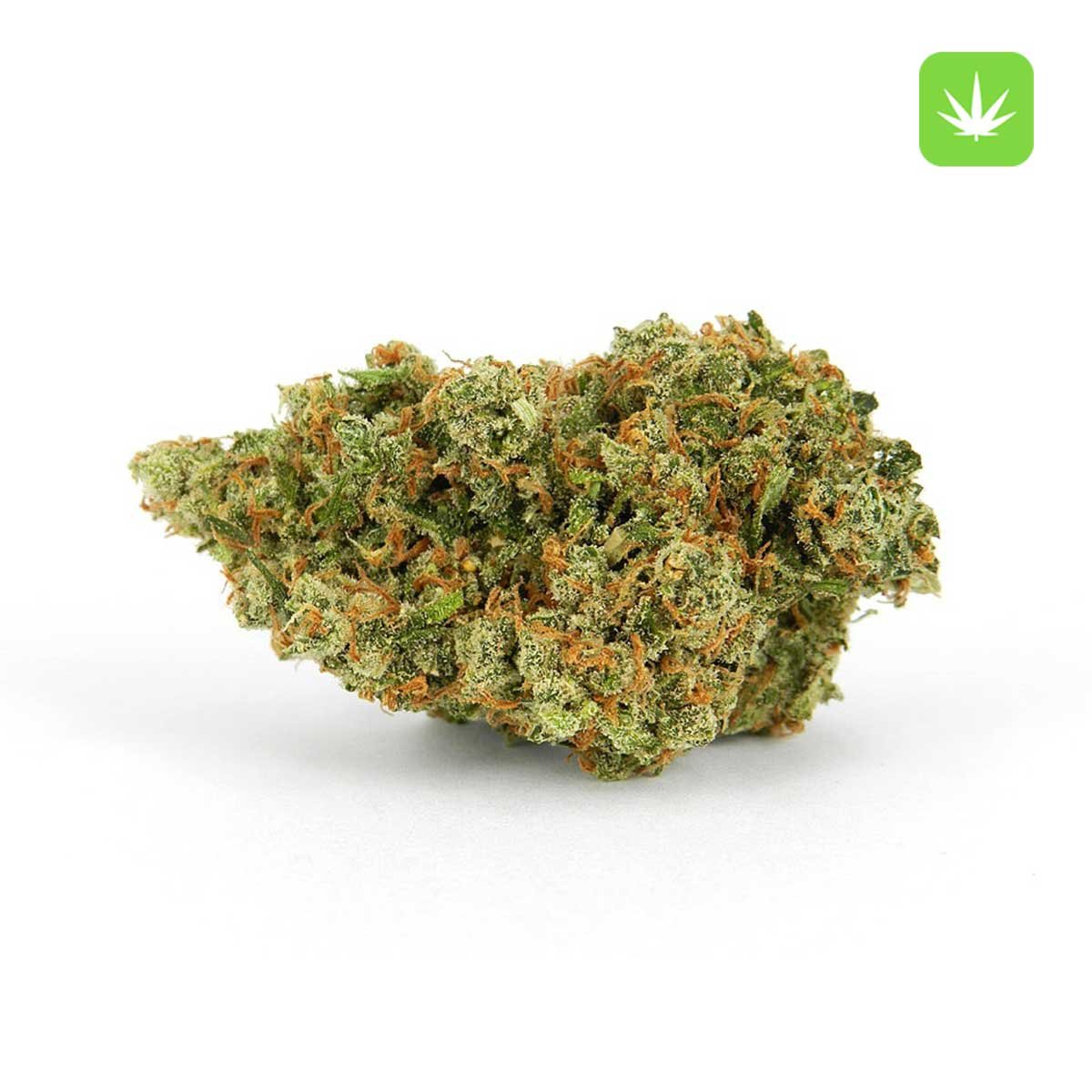 Buy Jack Herer (Sativa) Online Canada