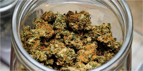 Order Agent Orange (AA) Online Canada - Image 55