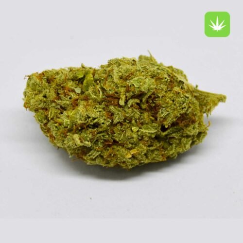 Buy Moby Dick (Hybrid) Online Canada