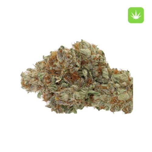 Buy Platinum Bubba (Hybrid) Online Canada