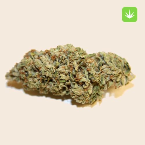 Buy Kosher Kush (Indica) Online Canada