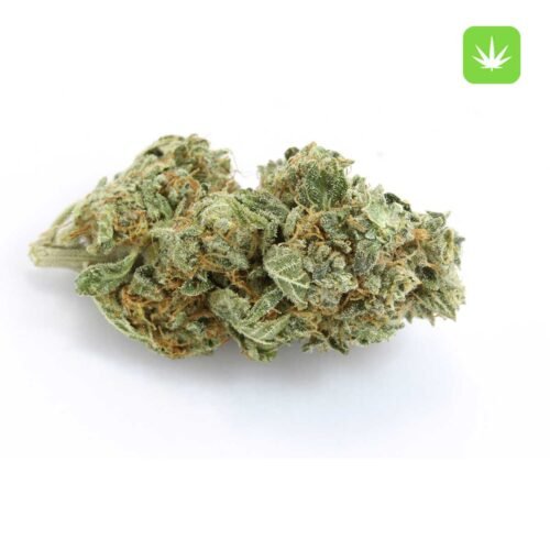 Buy Lemon Kush (Hybrid) Online Canada