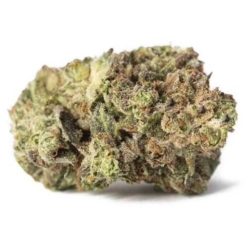 Buy MASTER KUSH Online Canada