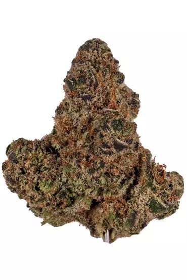 Buy Mimosa Strain Online Canada