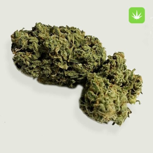 Buy Mango Kush (Indica) Online Canada