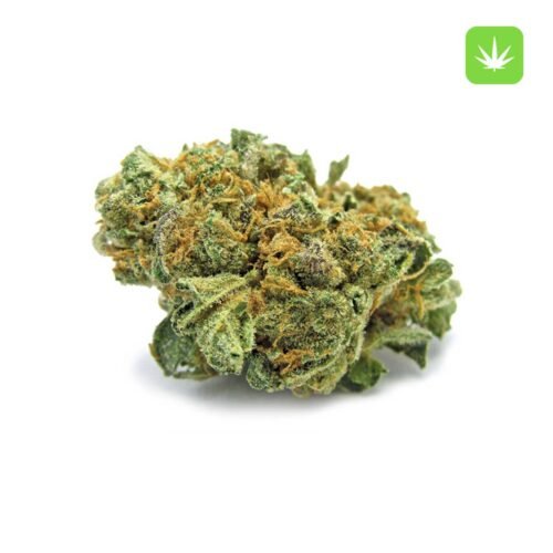Buy Monster Cookies (Hybrid) Online Canada