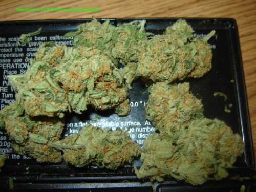 Buy Sour OG Online Canada - Image 30