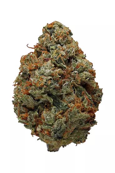 Buy OG Kush Strain Online Canada